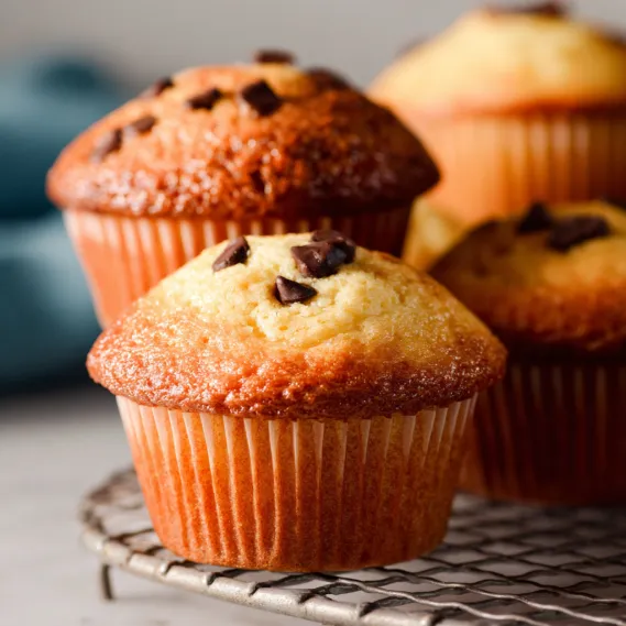 A tray of muffins with chocolate chips.