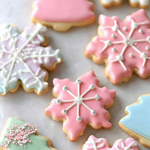 A variety of rolled sugar cookies.